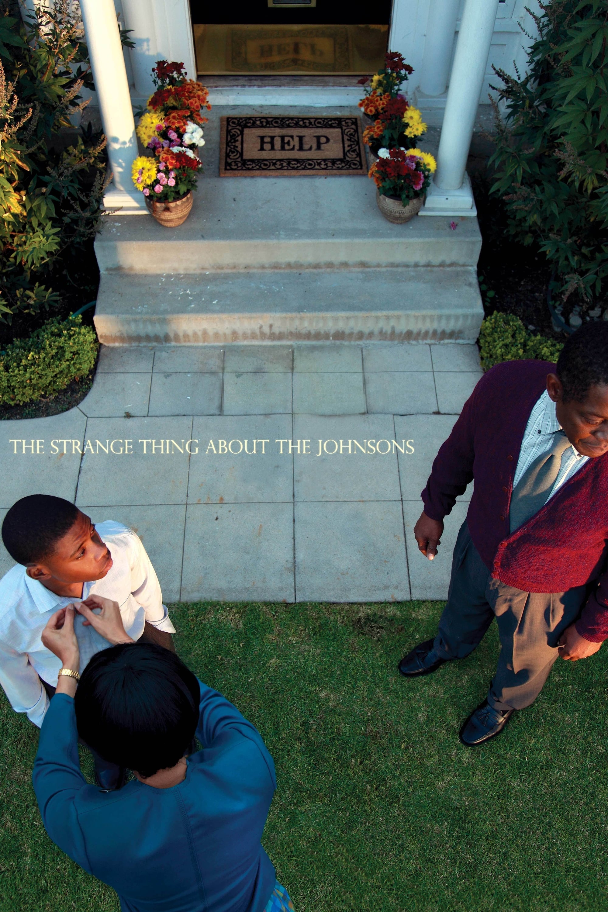 The Strange Thing About the Johnsons - Ari Aster · 2011