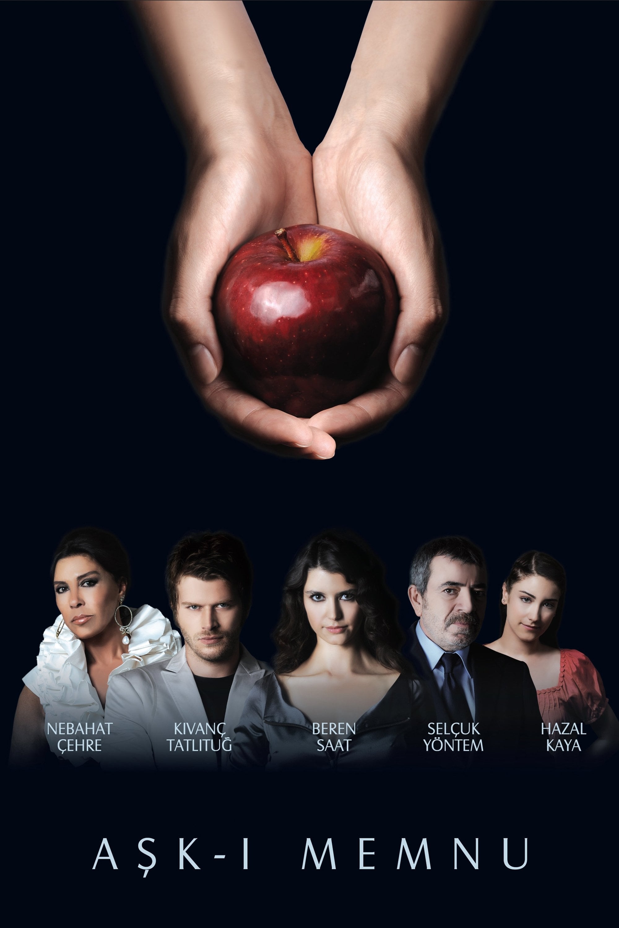 Forbidden Love - Halid Ziya Uşaklıgil · 2008