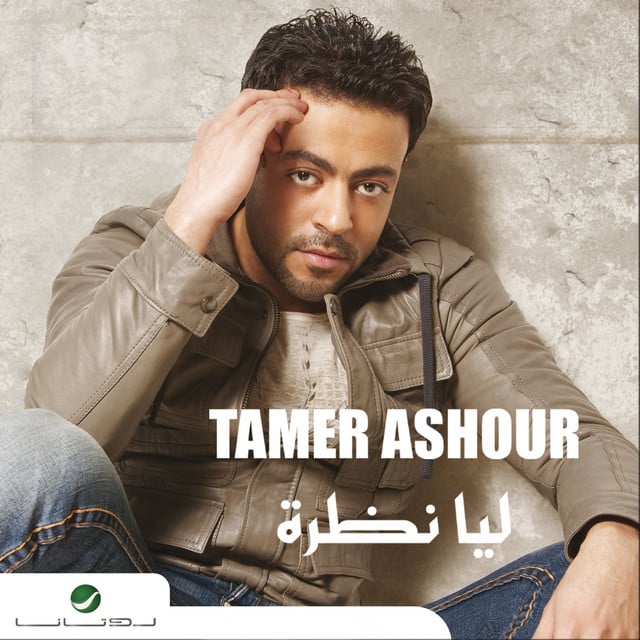 مفيهوش غلطة - Song · Tamer Ashour