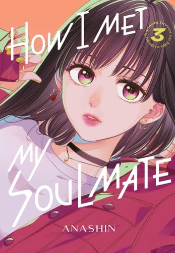 How I Met My Soulmate 3 - Anashin Β· 2024