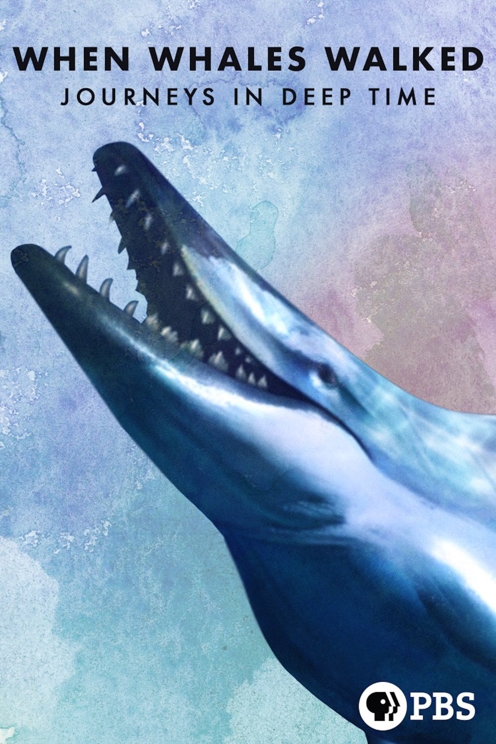 When Whales Walked: Journeys in Deep Time - Chad Cohen · 2019
