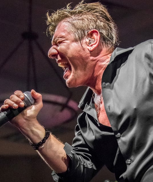 STEELHEART - Artist