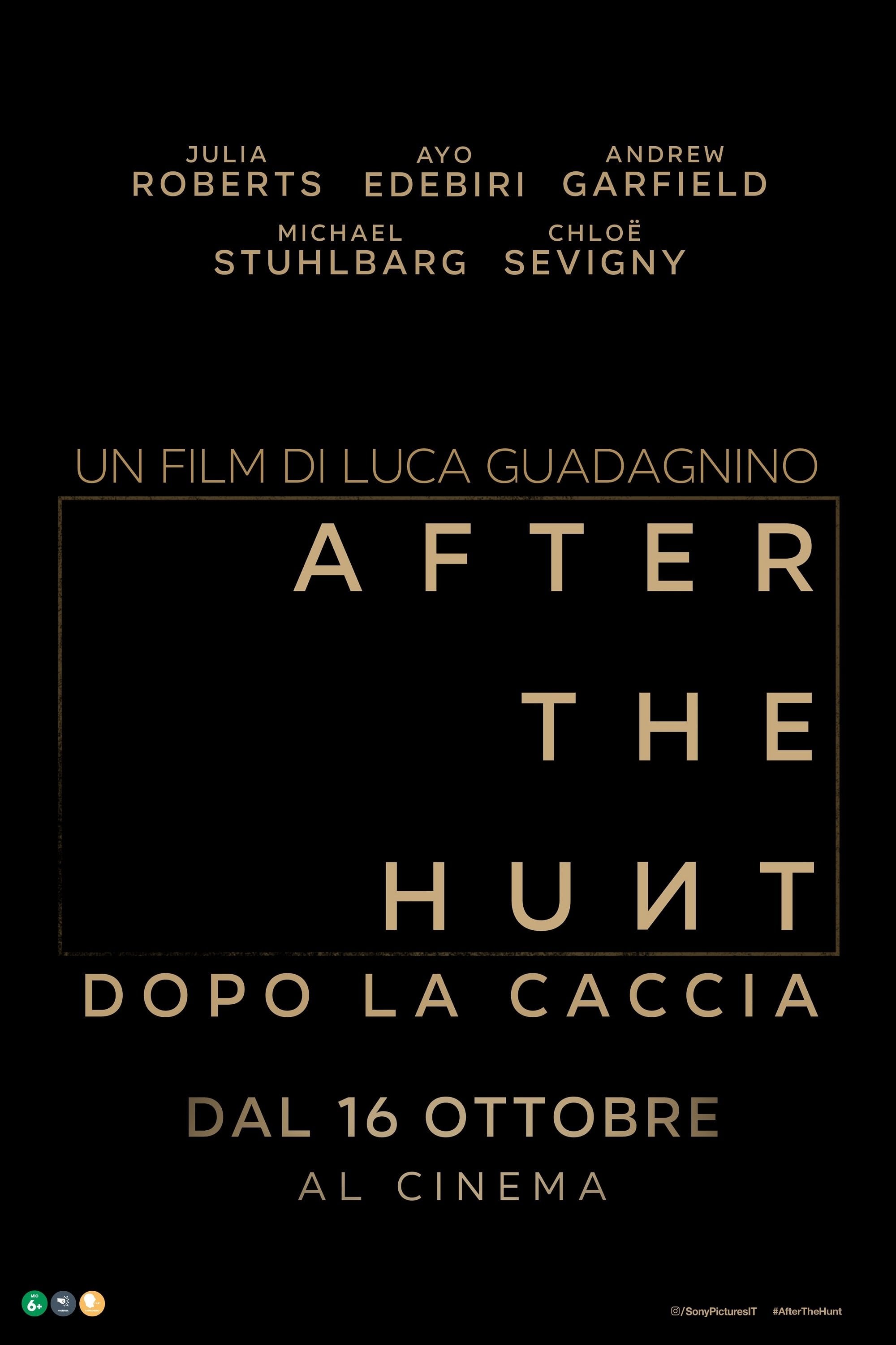 After the Hunt - Luca Guadagnino · 2025