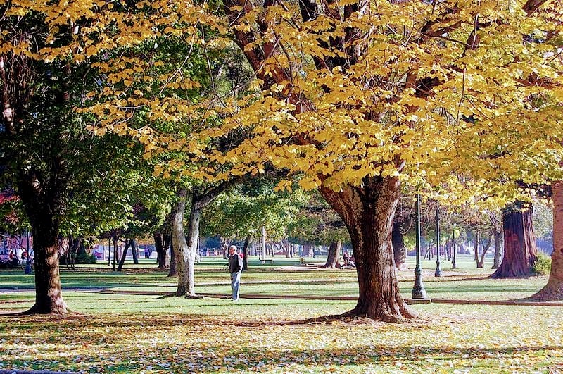 Parque Ecuador - Park · Bío Bío, Concepción
