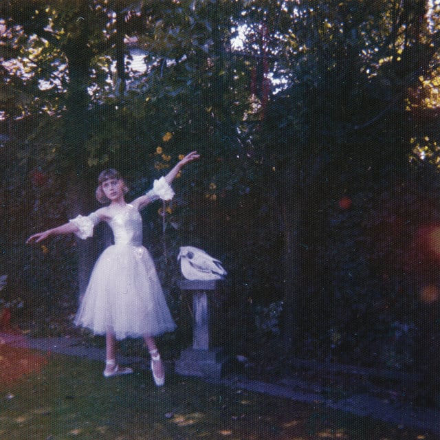 Don't Delete The Kisses - Song · Wolf Alice