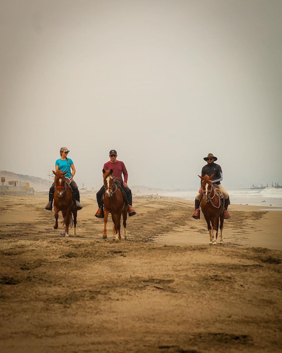 Cabalgatas Chincheros