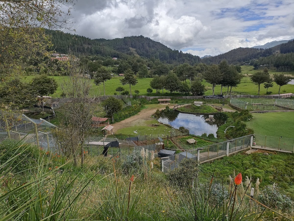 Granja Porcón