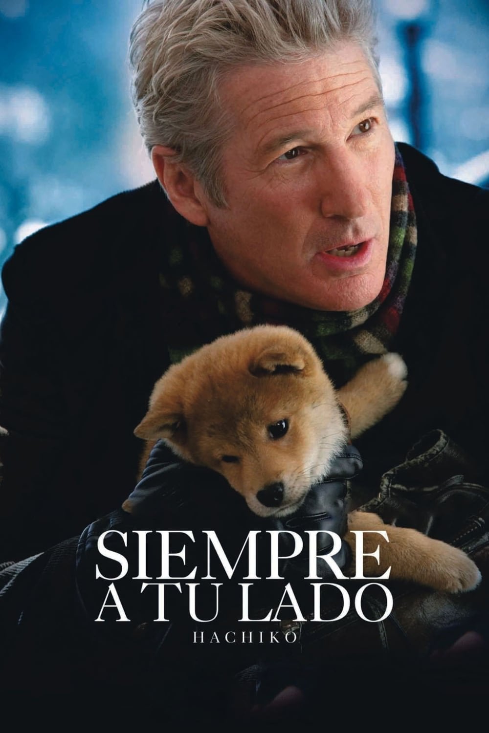 Siempre a tu lado - Lasse Hallström · 2009