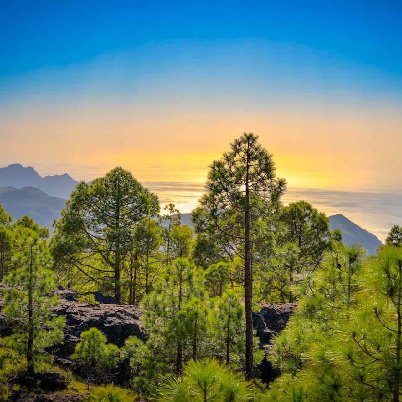 Parque Natural Tamadaba