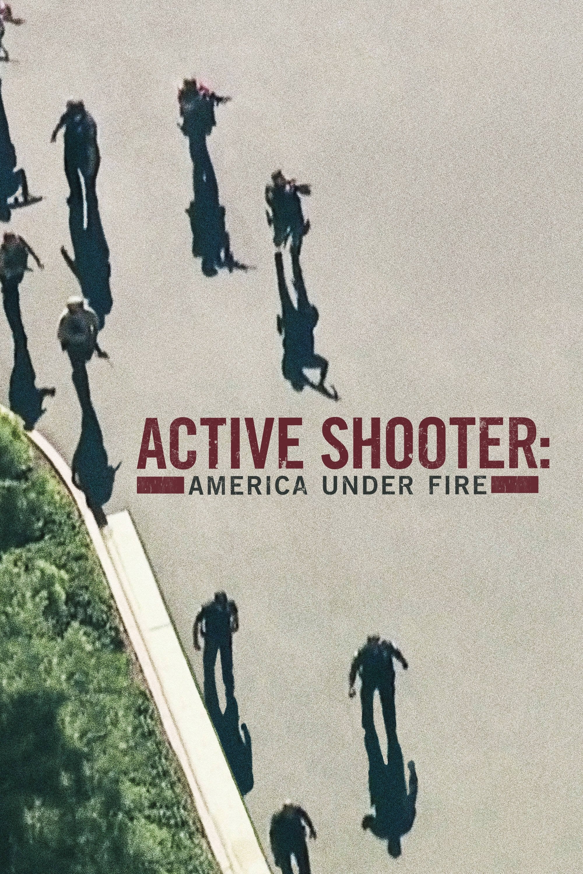 Active Shooter: America Under Fire - 2017