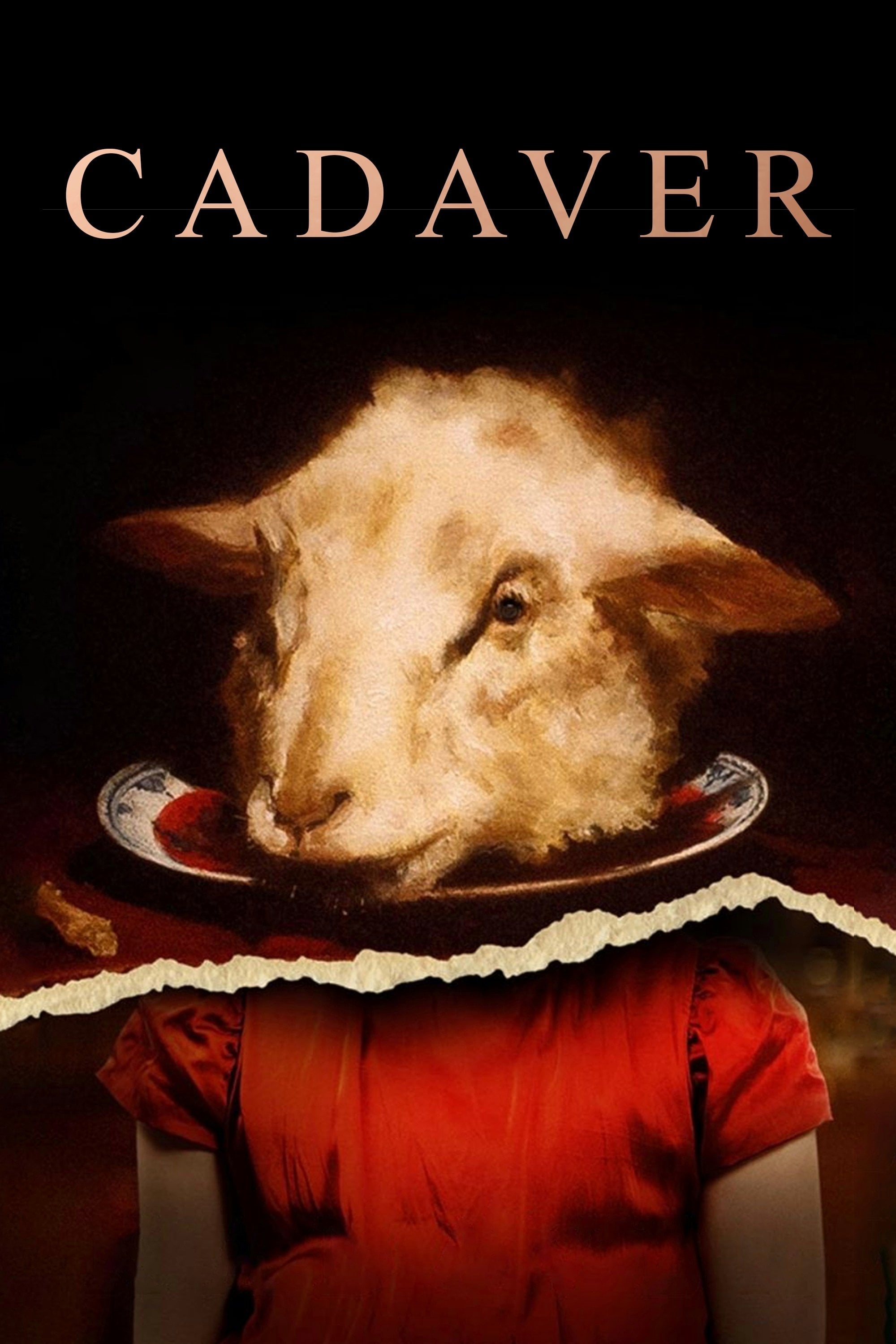 El cadáver - Jarand Herdal · 2020