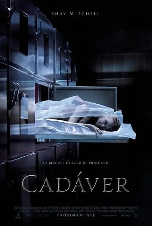 Cadáver - Diederik Van Rooijen · 2018