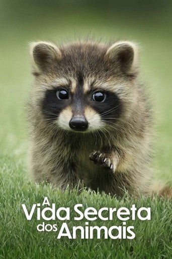A Vida Secreta dos Animais - · 2024