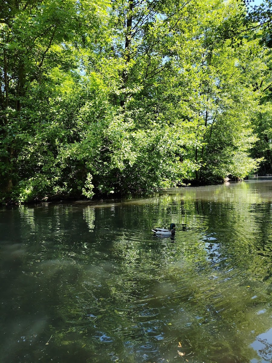 Spreewald