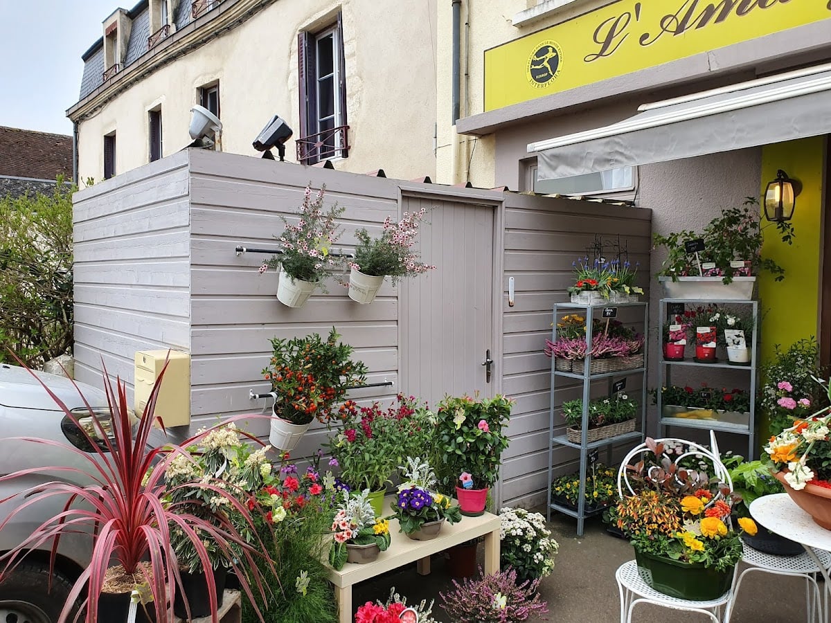 53 Rue des Trois Frères Terrier