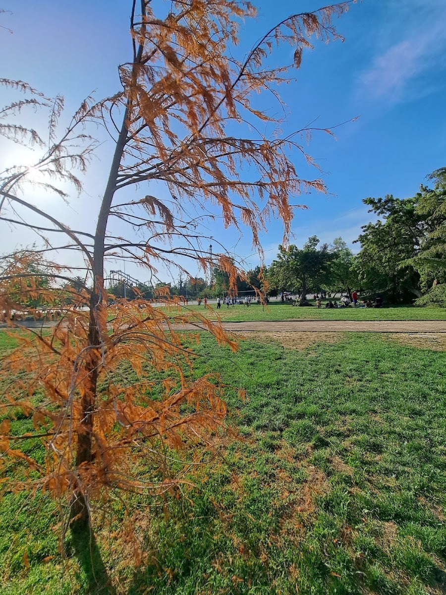 Parque O'Higgins