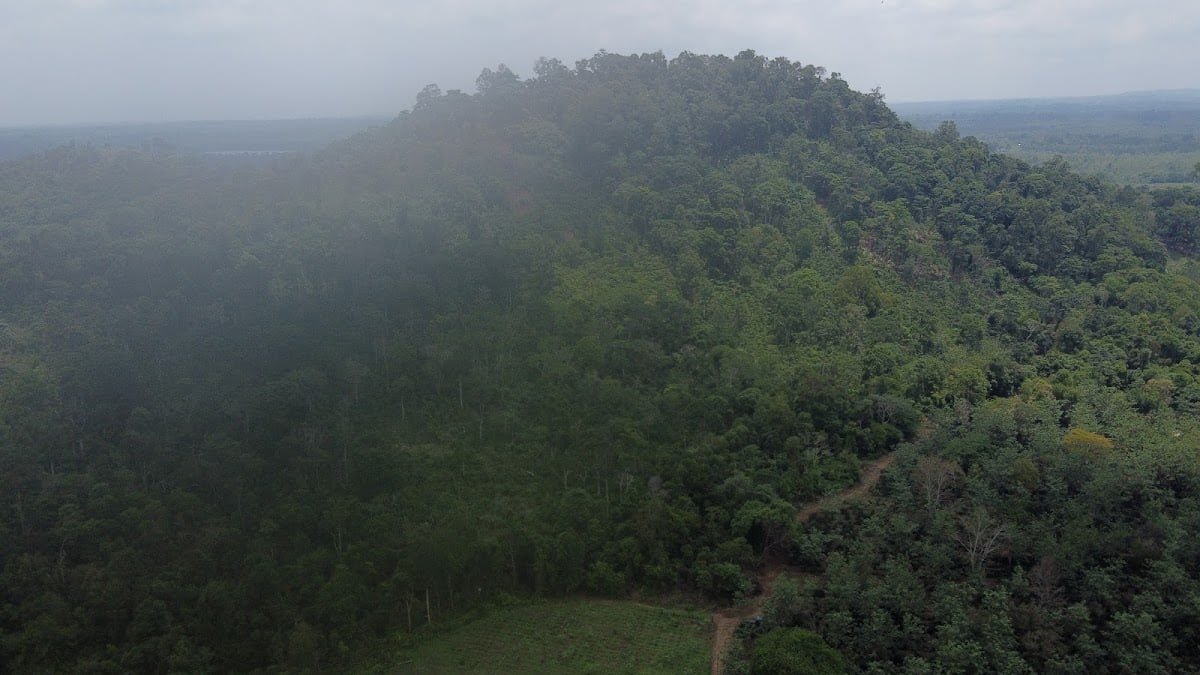 Bolaven Plateau