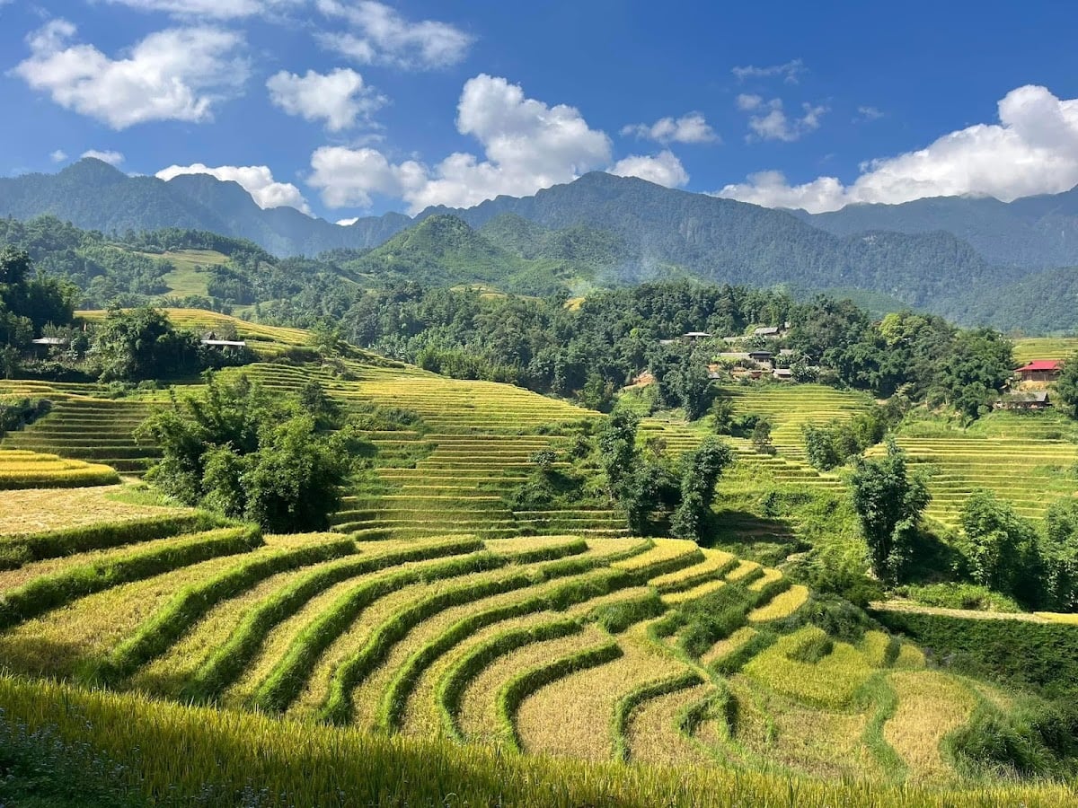 Mường Hoa Valley