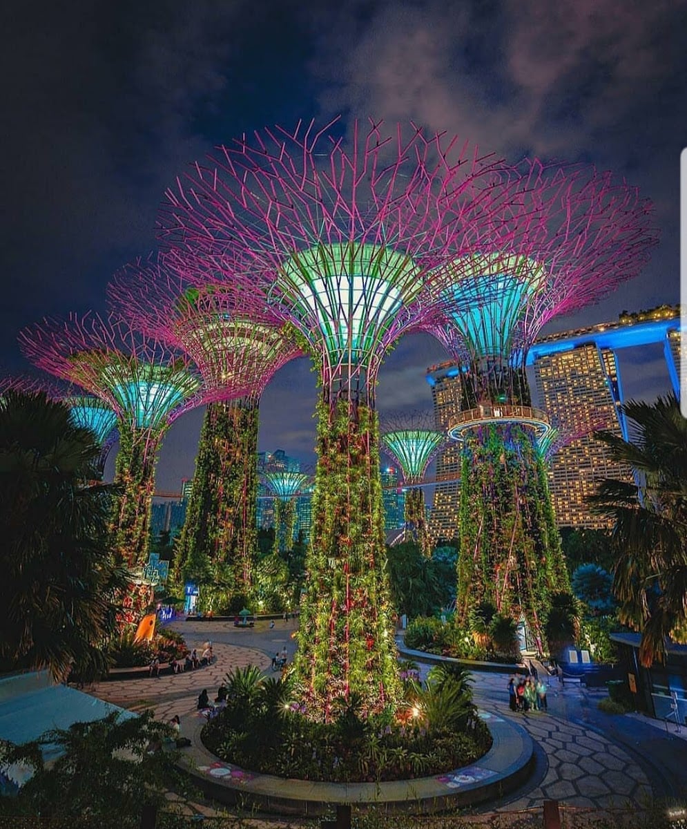 Silver Garden