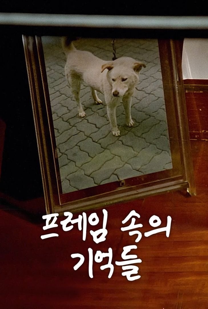 The Memories in My Frame - Bong Joon Ho · 1994