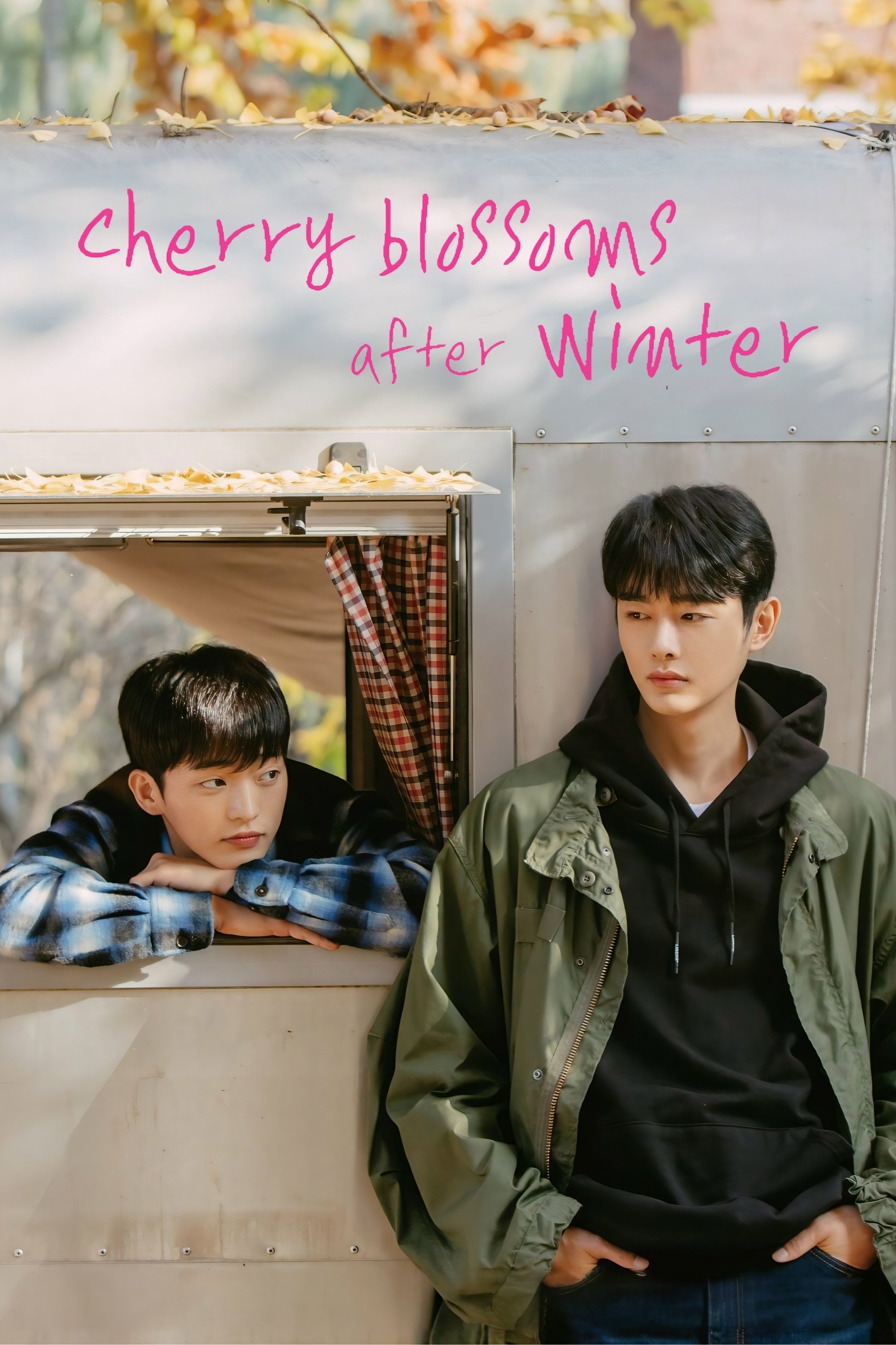 Cherry Blossoms After Winter - 밤우 · 2022