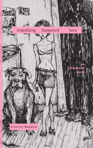 Something Happened Here - Felicity Meadow · 2024
