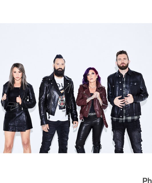 Skillet - Artist