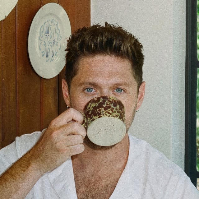 Niall Horan - Artist
