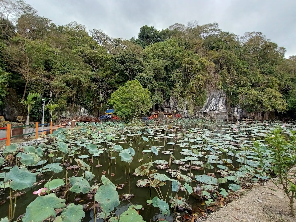 Forest Eco Park