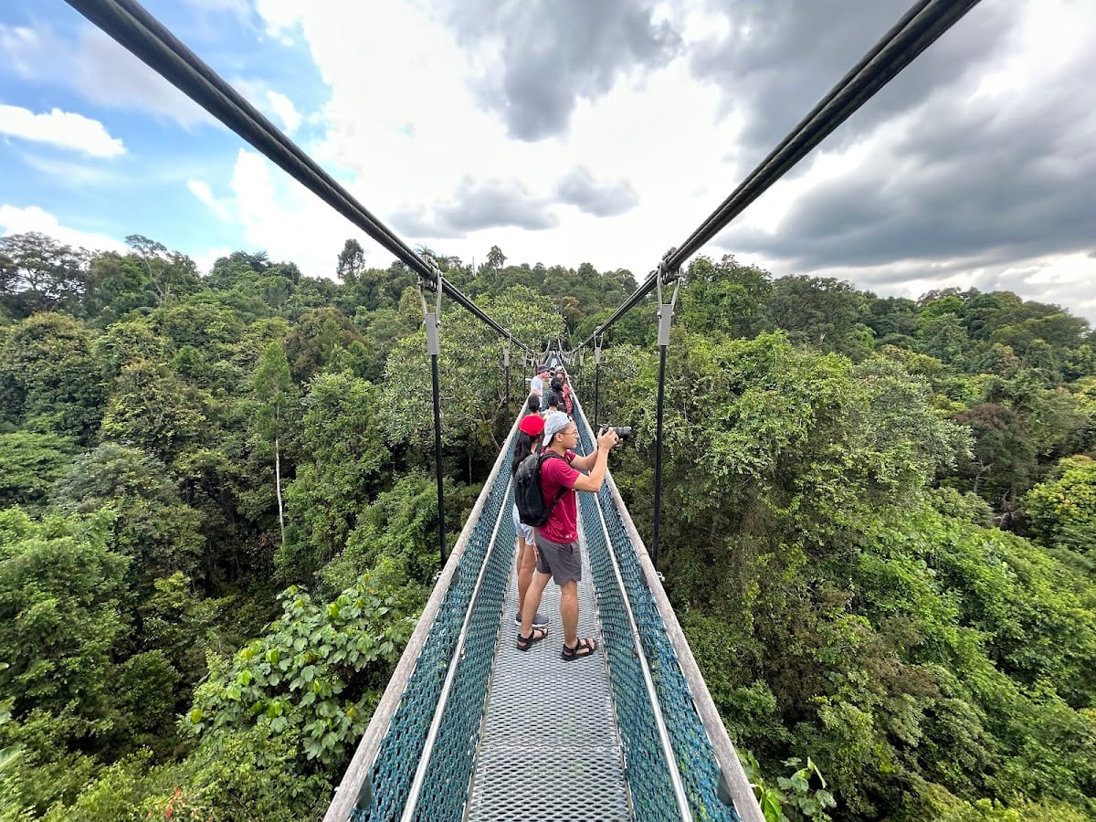 TreeTop Walk