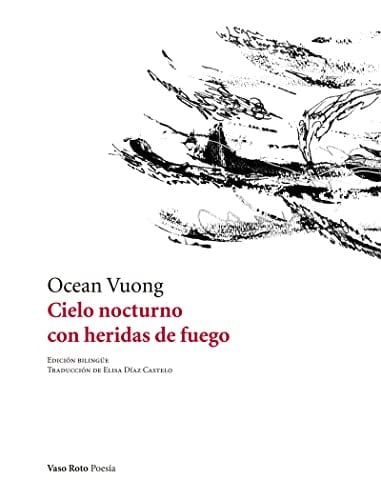 Cielo nocturno con heridas de fuego - Ocean Vuong · 2019