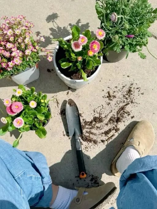 Jardinería - Cuidar de regar plantas y flores, conectas con la naturaleza y despejas tu mente