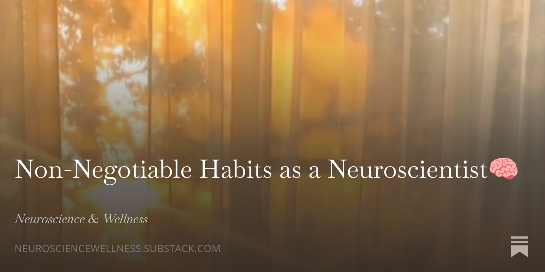 Non-Negotiable Habits as a Neuroscientistđ§ - Neuroscience & Wellness