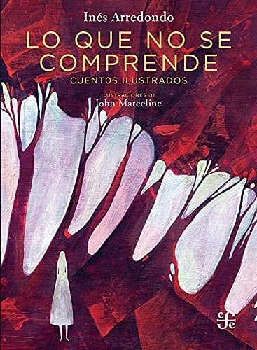 Lo que no se comprende cuentos ilustrados - Inés Arredondo • 2021