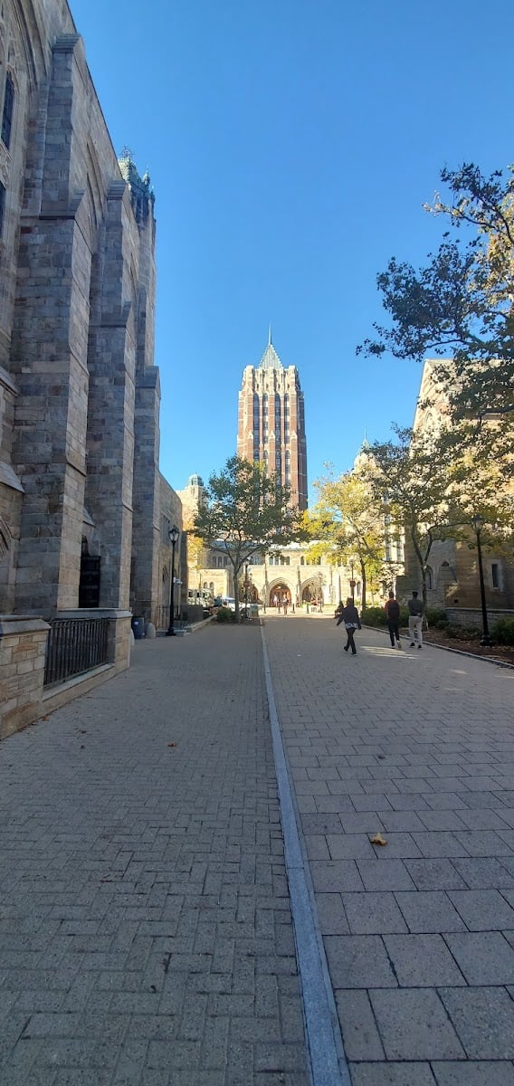 Yale College