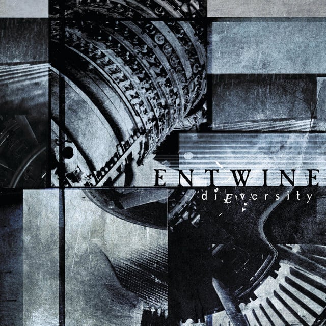 Dieversity - Album · Entwine