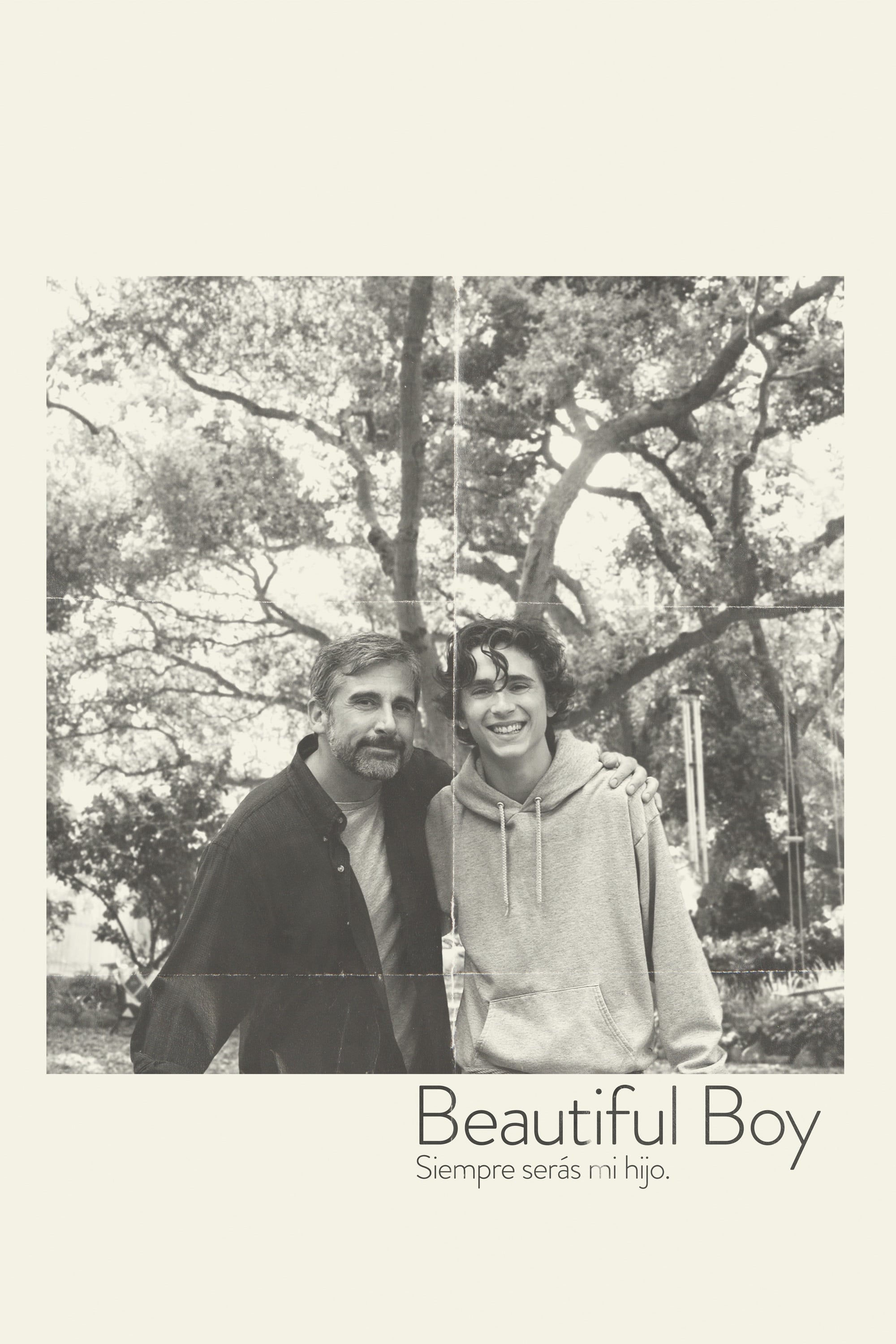 Beautiful Boy: siempre serás mi hijo - Felix van Groeningen · 2018