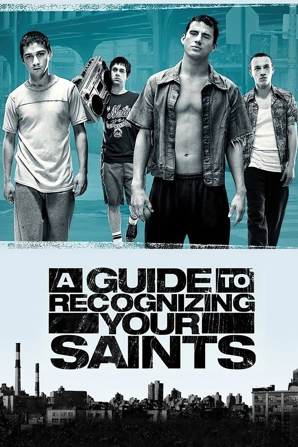 A Guide to Recognizing Your Saints - Dito Montiel · 2006