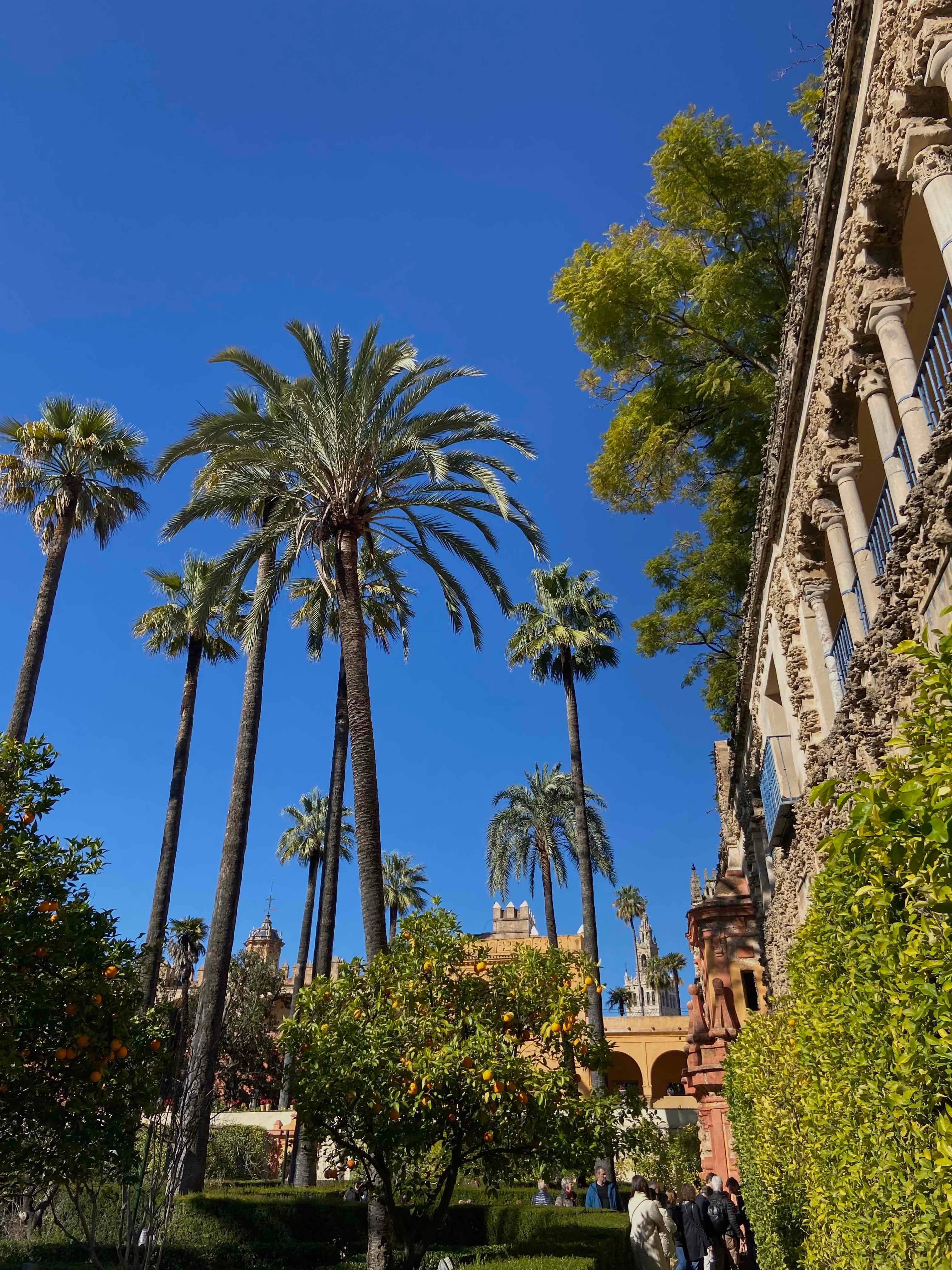Jardines del Alcázar