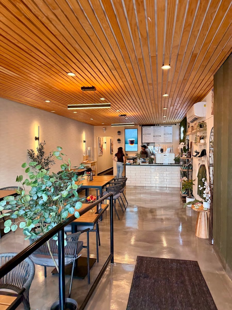 Faregrounds - Beverly Hills - Wraps