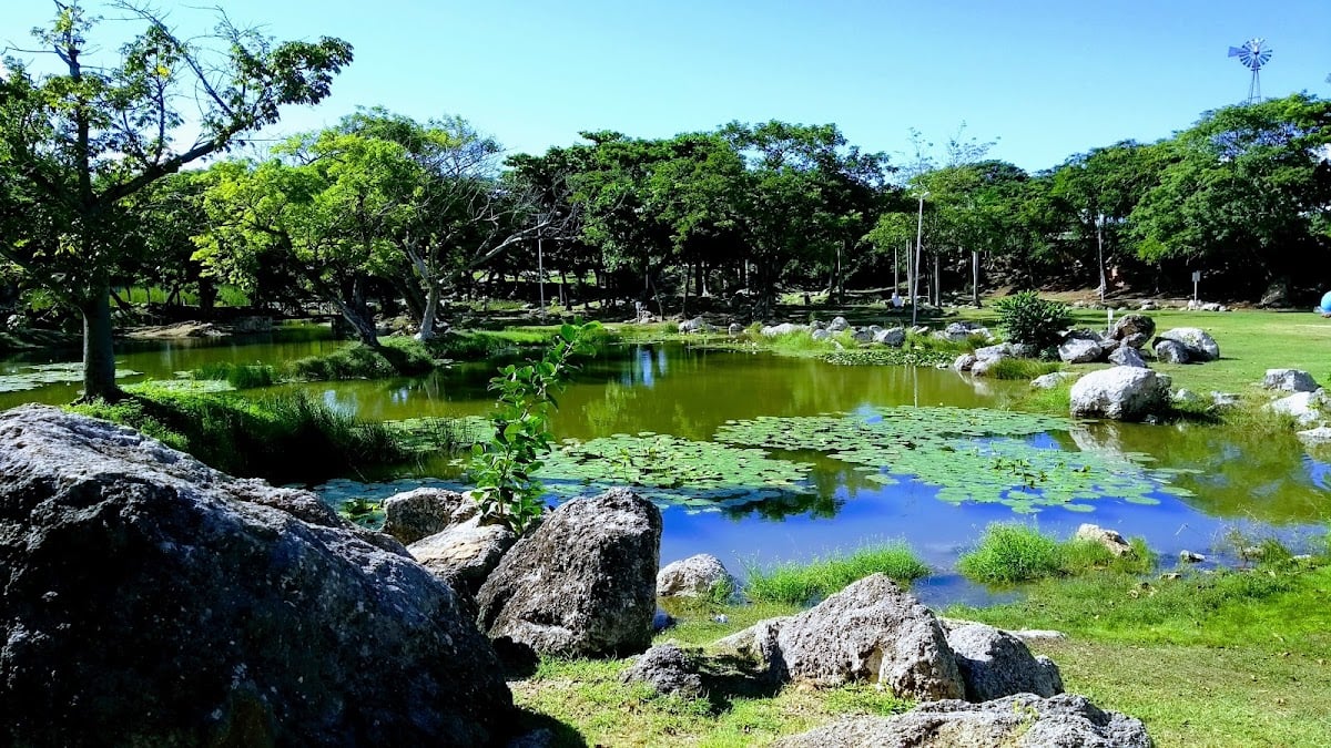 Poniente Ecological Park - Park · Yucalpetén, Mérida