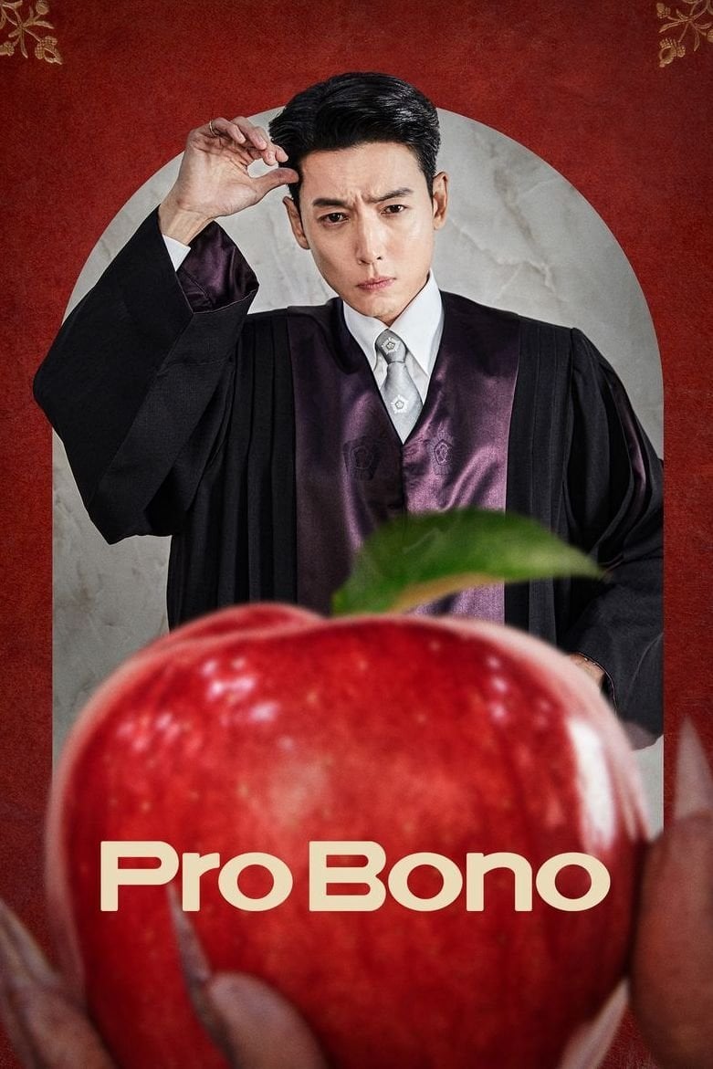 Pro Bono - 2025