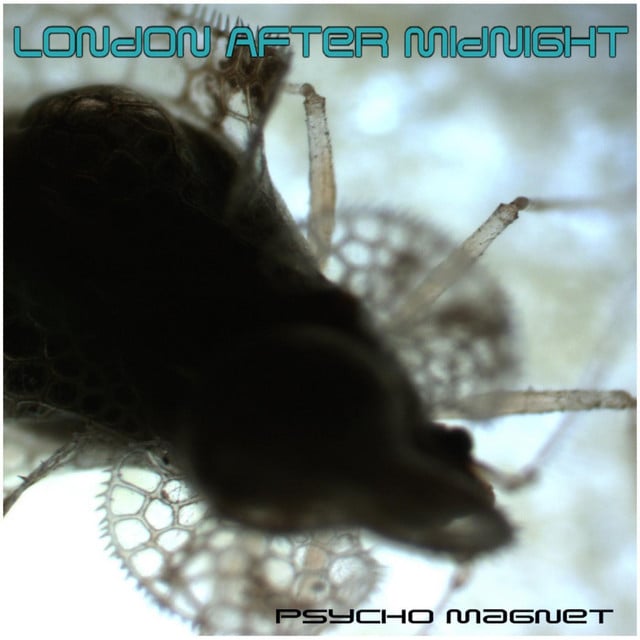 Psycho Magnet - Track · London After Midnight, Sean Brennan