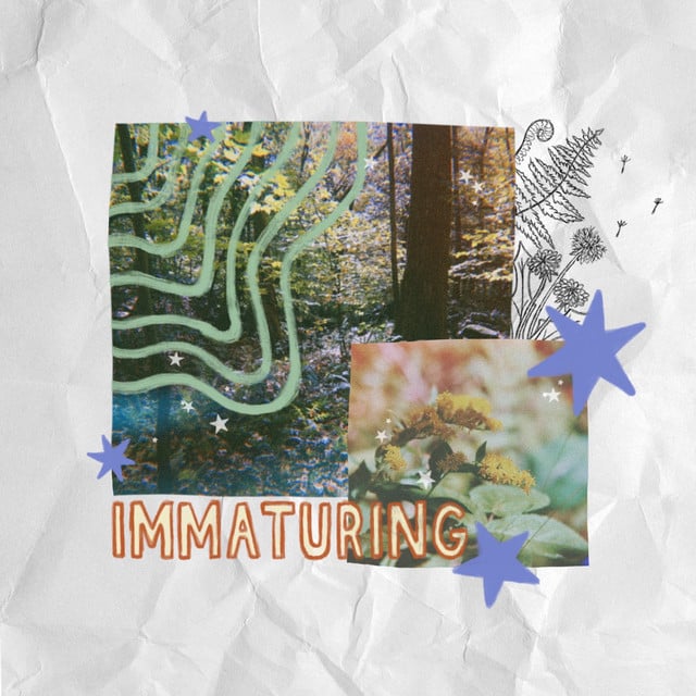 Immaturing - Album · Addison Grace
