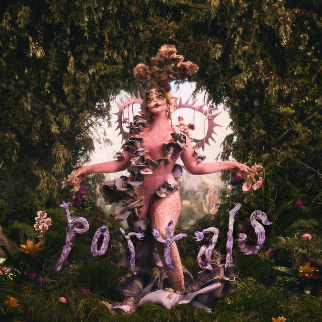 THE CONTORTIONIST - Song · Melanie Martinez