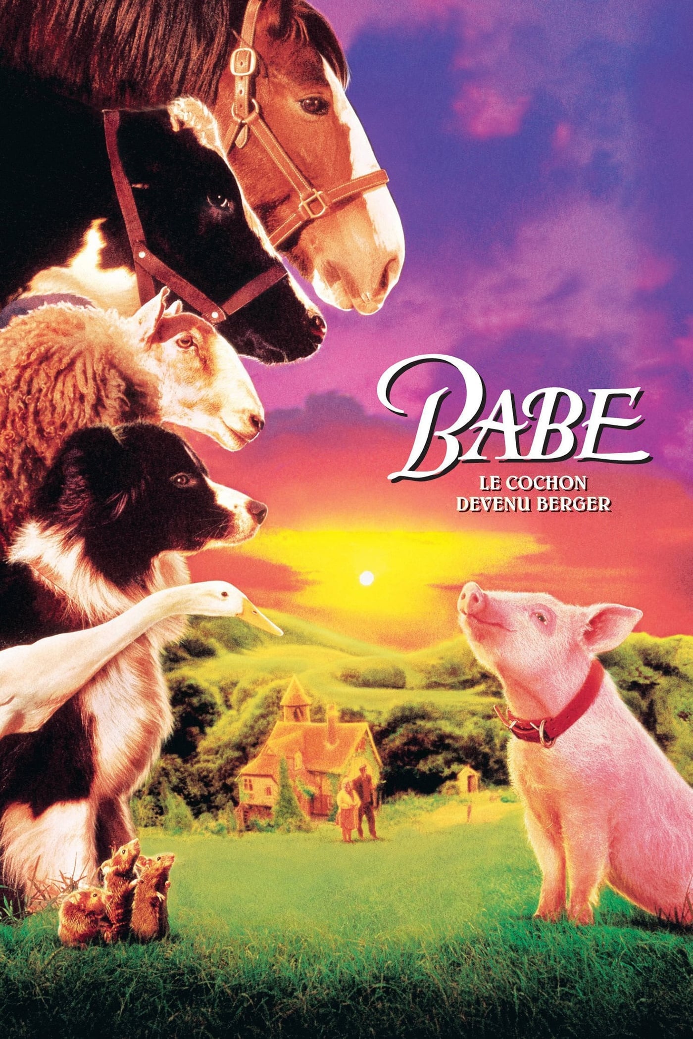 Babe, le cochon devenu berger - Chris Noonan · 1995