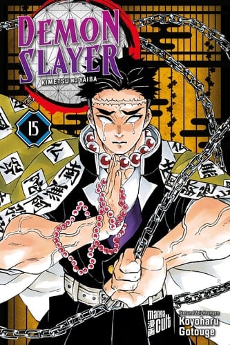 Demon Slayer : Kimetsu no Yaiba - Tome 15 - Koyoharu Gotouge · 2025