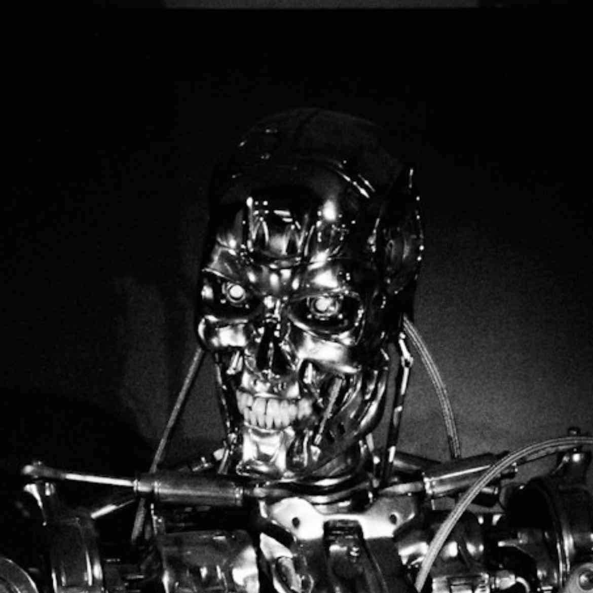 The terminator