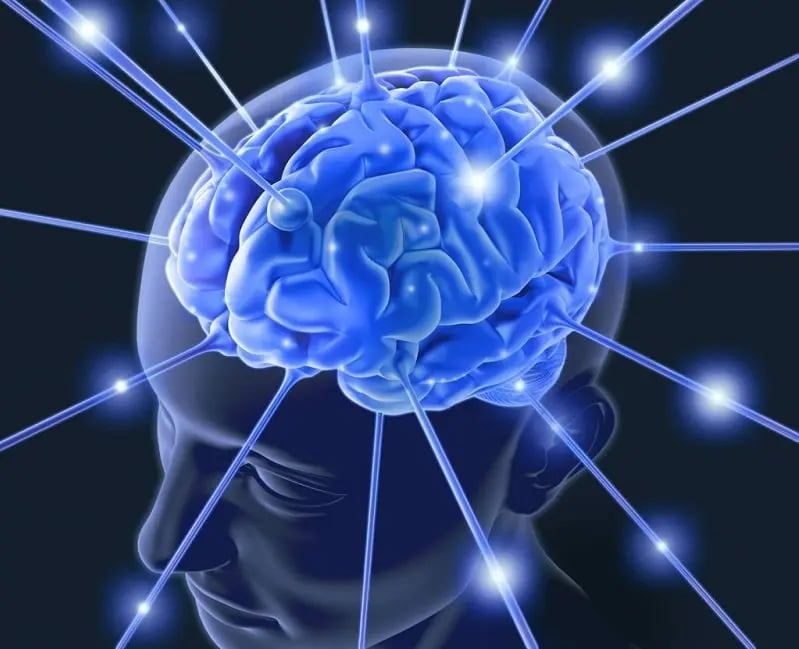 What is the Memory Capacity of a Human Brain? - Clinical Neurology Specialists