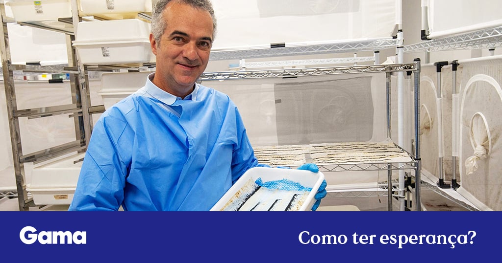 As boas notícias que a ciência trouxe em 2025 — Gama Revista - Gama Revista